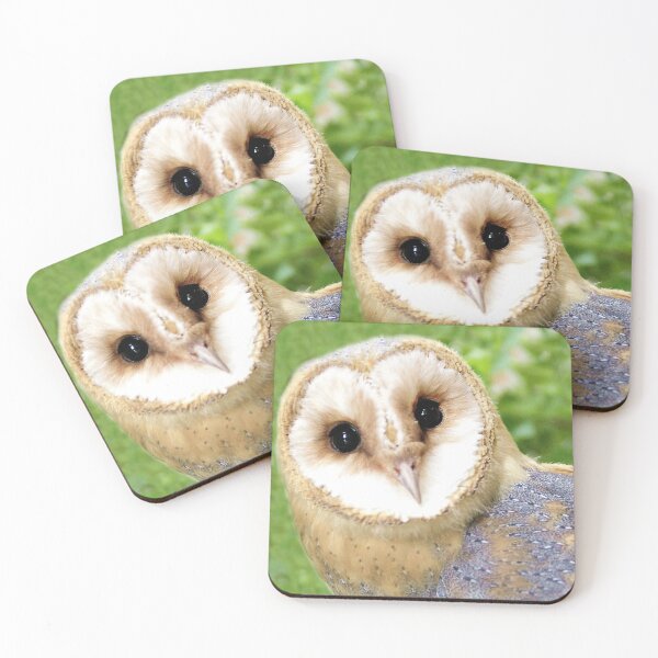Item preview, The Barn Owl - Tyto alba designed and sold by Richenda.