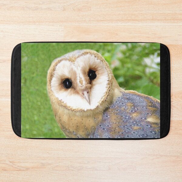 Item preview, The Barn Owl - Tyto alba designed and sold by Richenda.