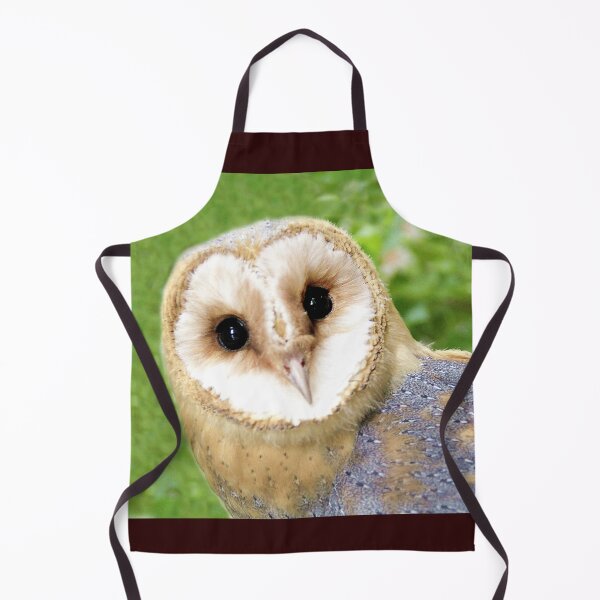 Item preview, The Barn Owl - Tyto alba designed and sold by Richenda.