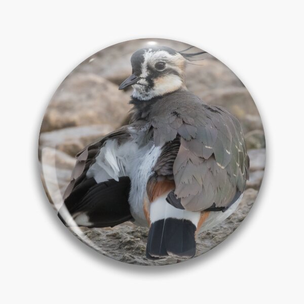 Item preview, Lapwing designed and sold by LaurenTucker.