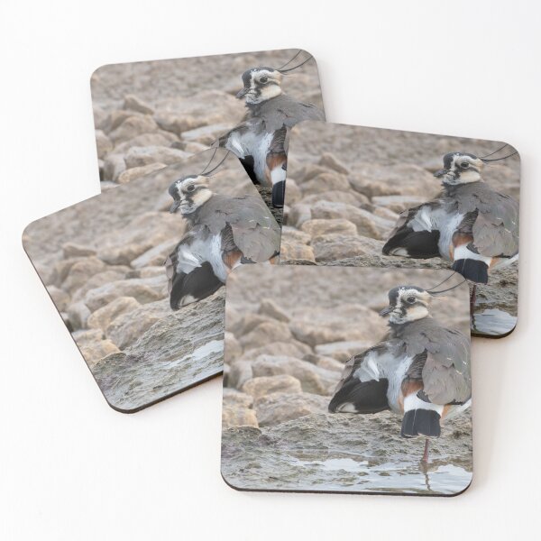 Item preview, Lapwing designed and sold by LaurenTucker.