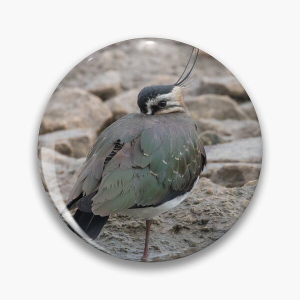 Item preview, Lapwing designed and sold by LaurenTucker.