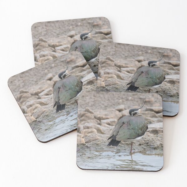 Item preview, Lapwing designed and sold by LaurenTucker.