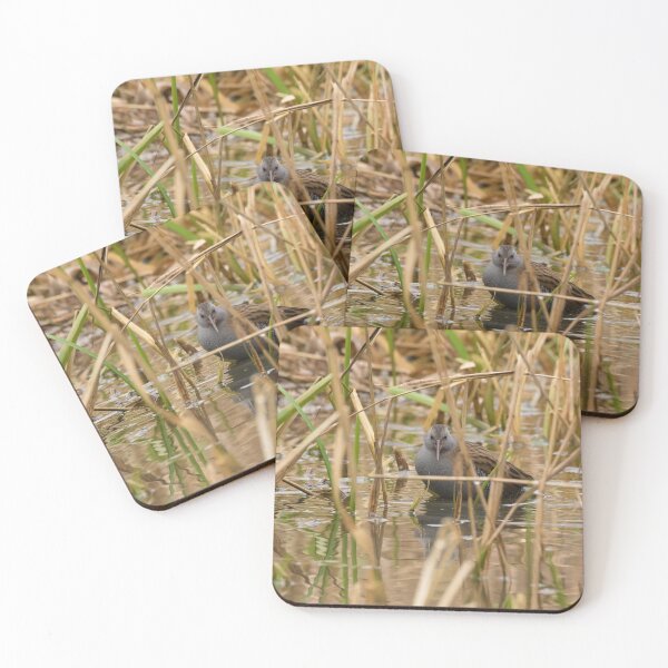Item preview, Water Rail designed and sold by LaurenTucker.