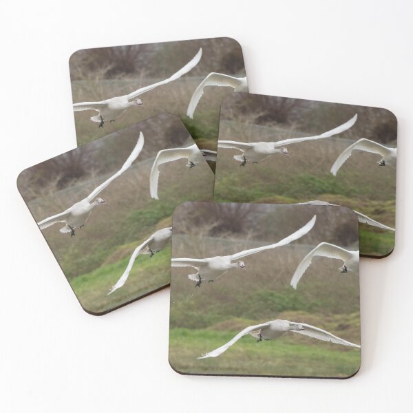 Item preview, Bewick Swan designed and sold by LaurenTucker.