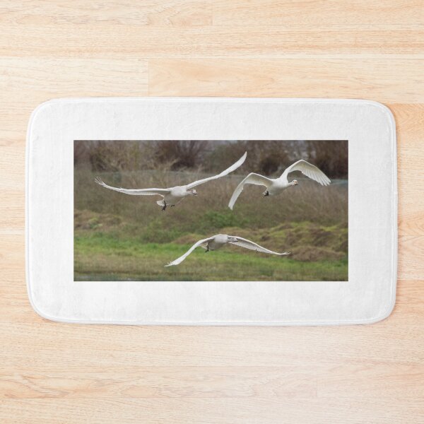 Item preview, Bewick Swan designed and sold by LaurenTucker.