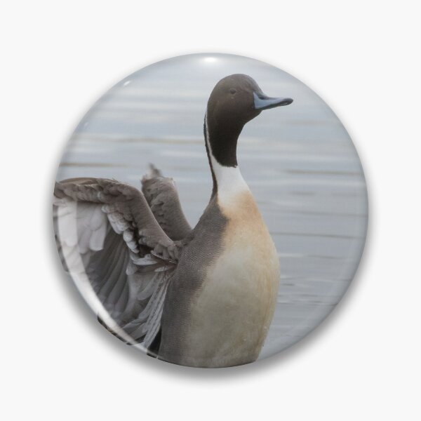 Item preview, Pintail designed and sold by LaurenTucker.