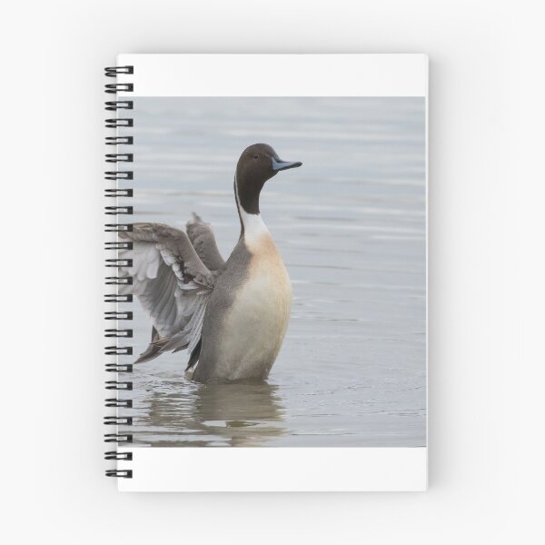 Item preview, Pintail designed and sold by LaurenTucker.