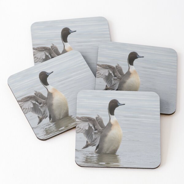 Item preview, Pintail designed and sold by LaurenTucker.