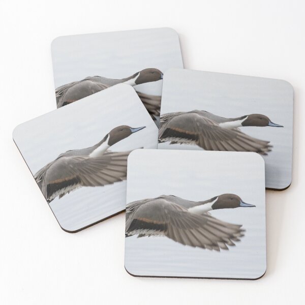 Item preview, Pintail designed and sold by LaurenTucker.