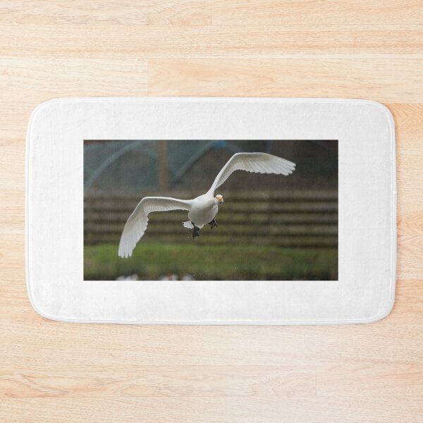 Item preview, Bewick Swan designed and sold by LaurenTucker.