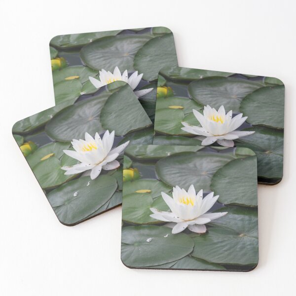 Item preview, Blooming lily amid lilypads designed and sold by Epiphany27Photo.