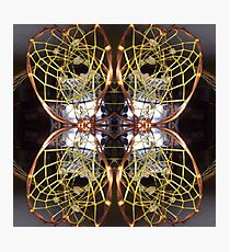 Dream state Photographic Print