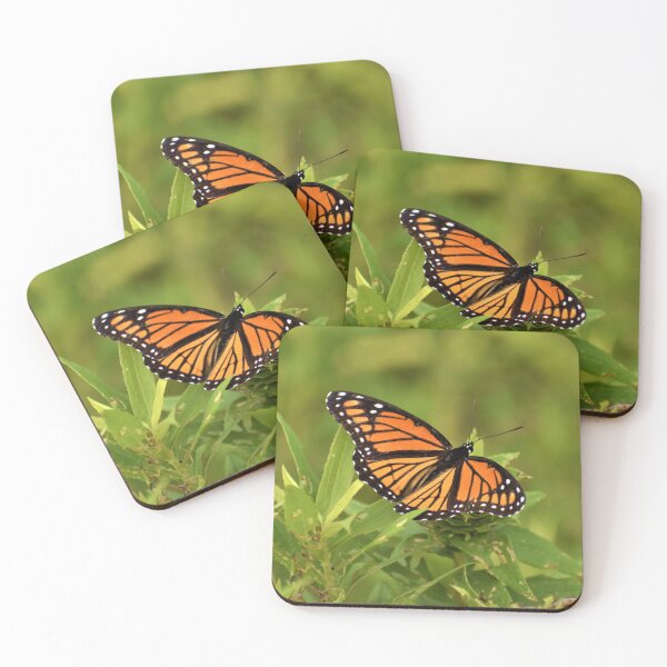 Item preview, Butterfly 13 designed and sold by Roger Fowler.