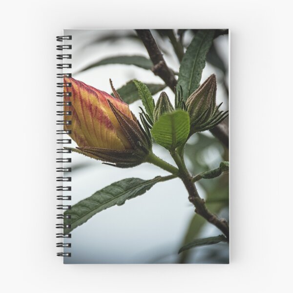 Item preview, Opening bud Leith Park Victoria 20151120 0734   designed and sold by Fred Mitchell.