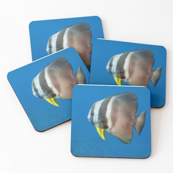 Item preview, Batfish, The Maldives designed and sold by dvlcom.