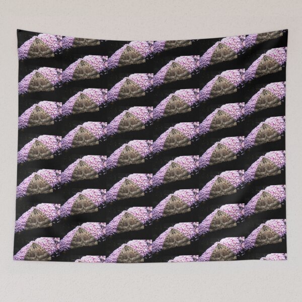 Item preview, Old Lady Moth Feeding on Buddleia Photograph designed and sold by naturegallery.