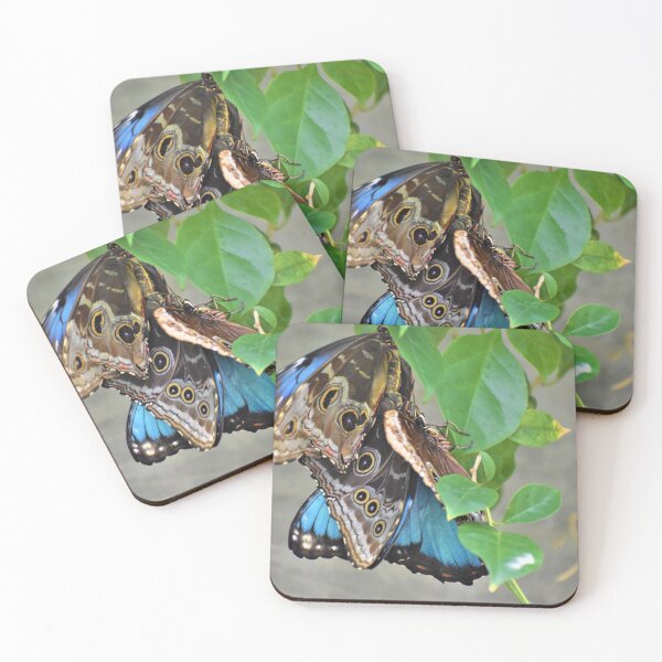 Item preview, Butterfly 5 designed and sold by Roger Fowler.