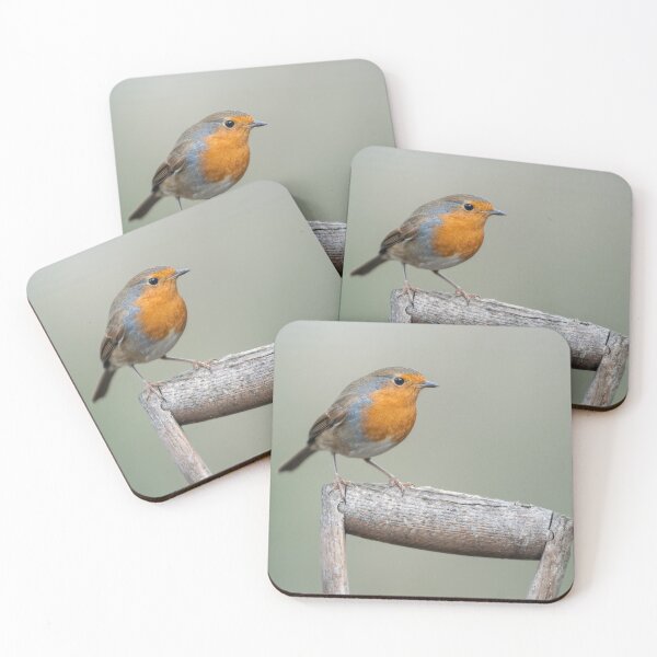 Item preview, Robin designed and sold by Steve Liptrot Photography.