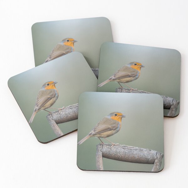 Item preview, Robin designed and sold by Steve Liptrot Photography.