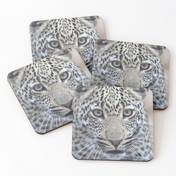 Item preview, Leopardo Schotia Macho designed and sold by Michael Moss Photography.