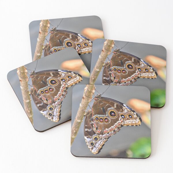Item preview, Butterfly 6 designed and sold by Roger Fowler.