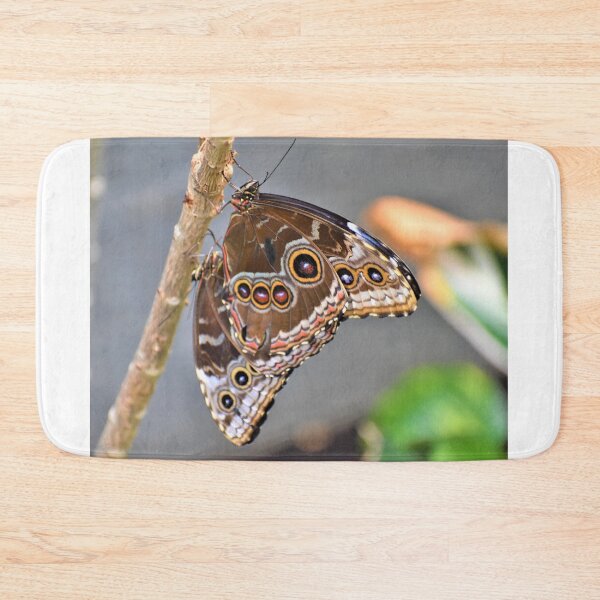 Item preview, Butterfly 6 designed and sold by Roger Fowler.