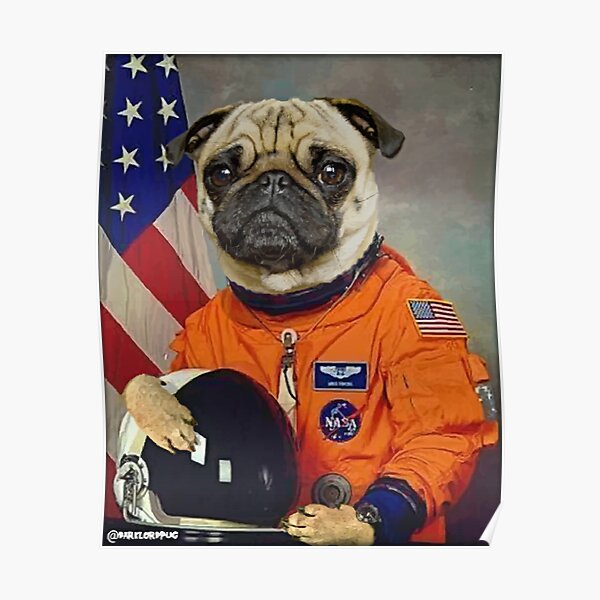 Astropug Poster