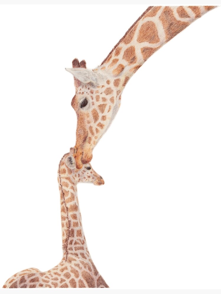 "Mom and Baby Giraffe" Framed Art Print for Sale by CasmahCreations