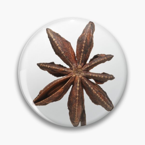 Item preview, Close up of star anise, Illicium verum designed and sold by wineandwords.
