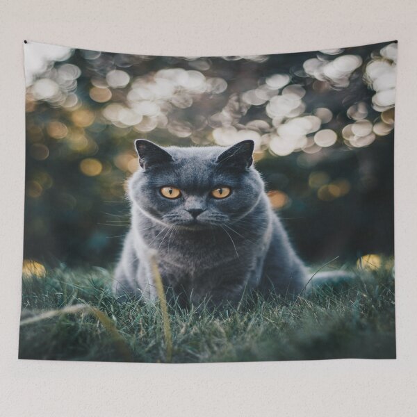 Item preview, Outdoor Russian Blue Cat designed and sold by Alladin7.