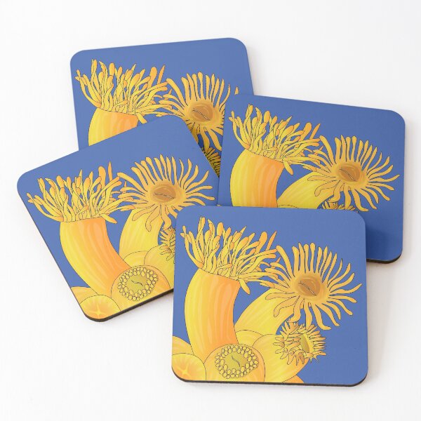Item preview, Orange coral, Astroides polyps (animals, cnidarians) designed and sold by NatureNature.