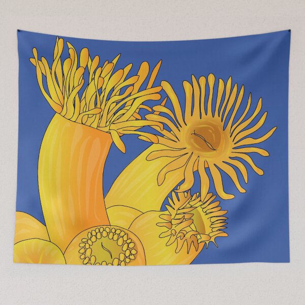 Item preview, Orange coral, Astroides polyps (animals, cnidarians) designed and sold by NatureNature.