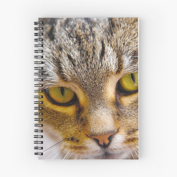 Item preview, Eye Of The Tiger designed and sold by clairepullan.