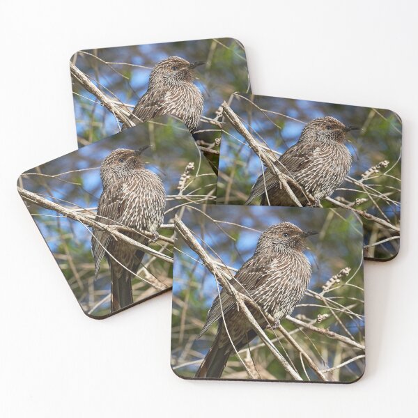 Item preview, Little Wattlebird designed and sold by Robert Elliott.