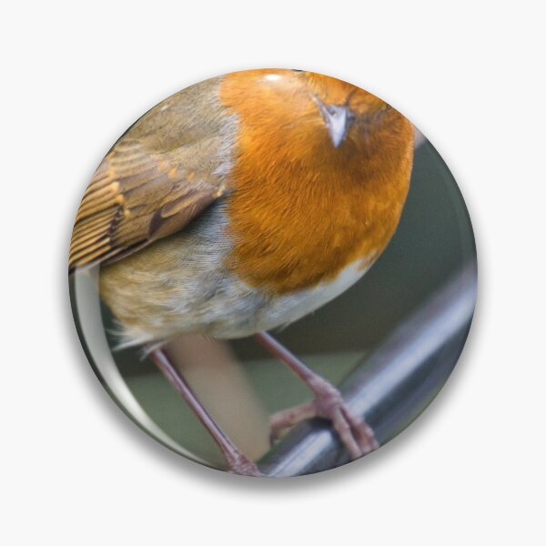 Item preview, Robin Red Breast designed and sold by Peter Green.