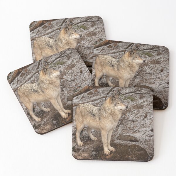 Item preview, Grey Wolf designed and sold by Eunice Gibb.