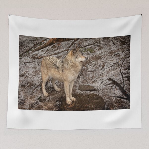 Item preview, Grey Wolf designed and sold by Eunice Gibb.