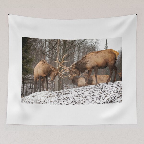 Item preview, Wapiti designed and sold by Eunice Gibb.