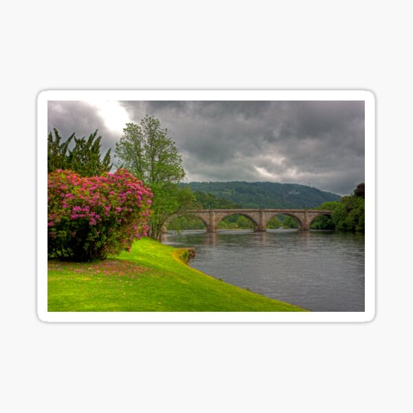 Item preview, Rhododendrons by the River designed and sold by tomg.