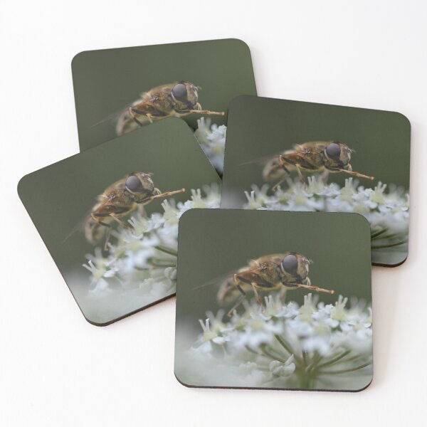 Item preview, Bee on garlic chives flowers in our urban garden. designed and sold by wineandwords.