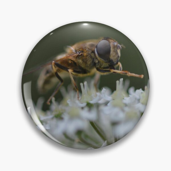 Item preview, Bee on garlic chives flowers in our urban garden. designed and sold by wineandwords.