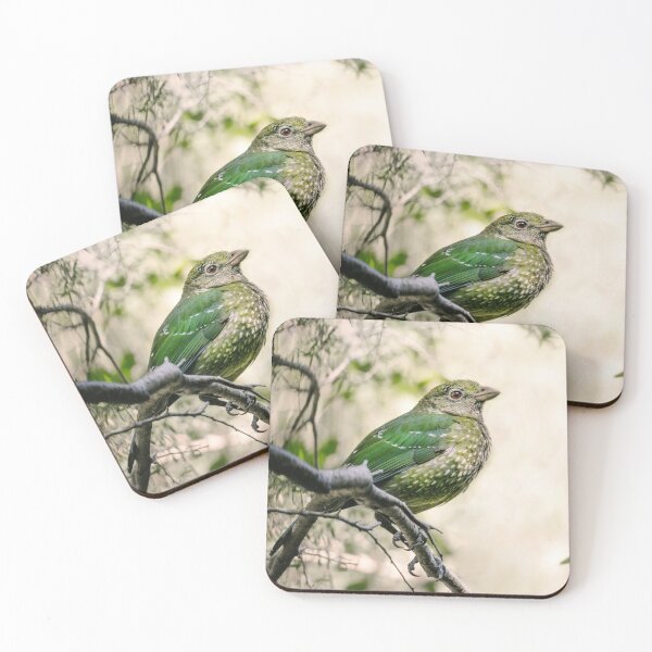 Item preview, Green Catbird  designed and sold by Jasmine Connors.