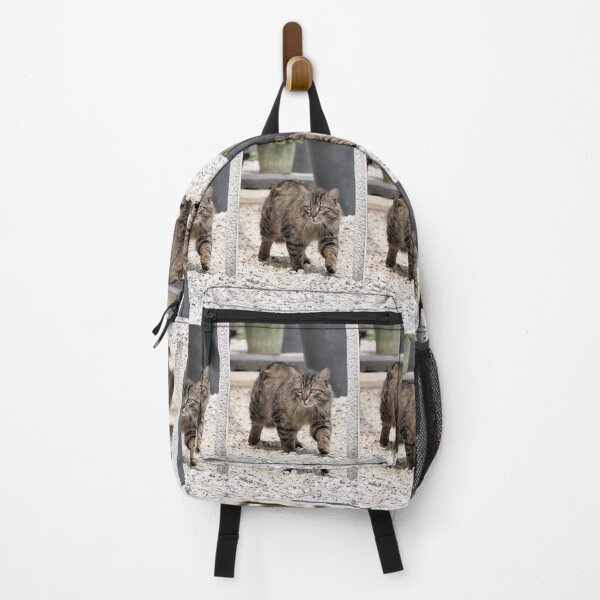 Item preview, r 2569/ 9 Chat-Cat " Le Rodeur " finition 2020 par Okaio Créations - Olavia&Olao designed and sold by o.okaïo.