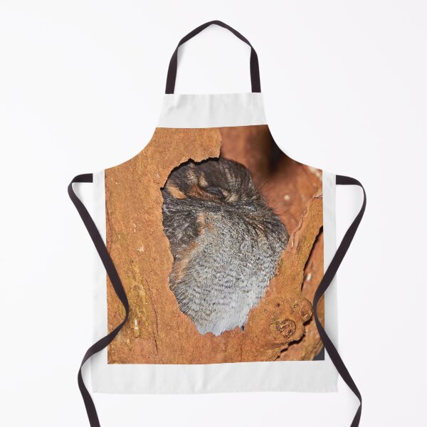 Item preview, Australian Owlet-Nightjar ~ "Sweet Dreams" designed and sold by Robert Elliott.