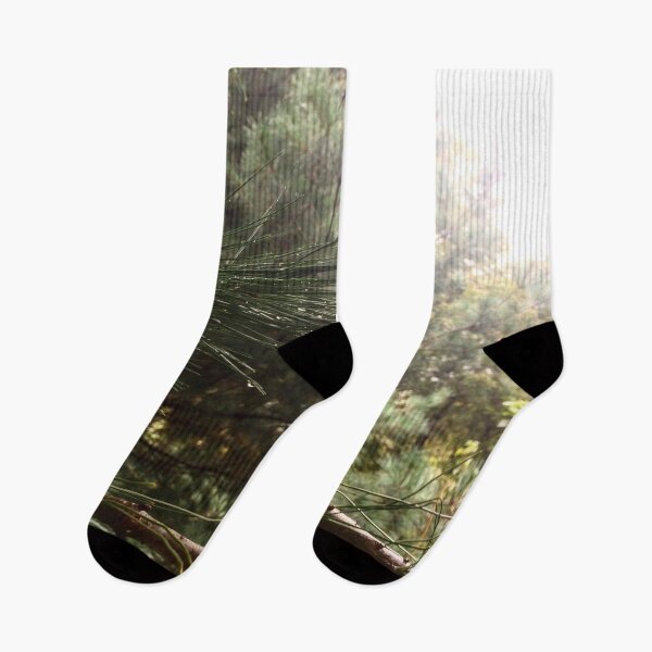 Item preview, Pine designed and sold by hydrenga.