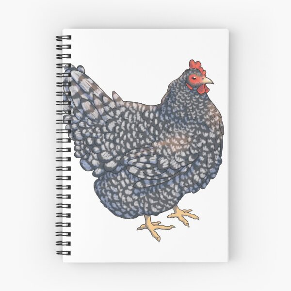 Item preview, Barred Rock Chicken designed and sold by eleary.