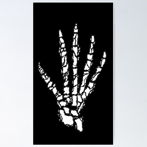 A Skeleton Hand, But Islands Poster