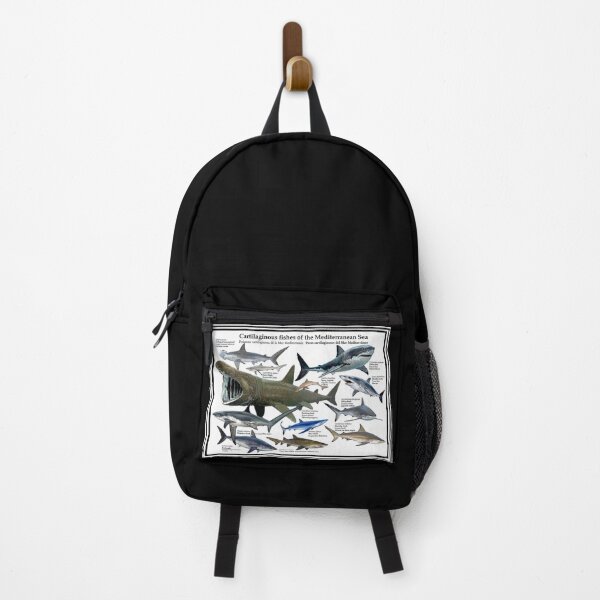 Item preview, SHARKS : Chart of The Mediterranean Sea Print designed and sold by posterbobs.