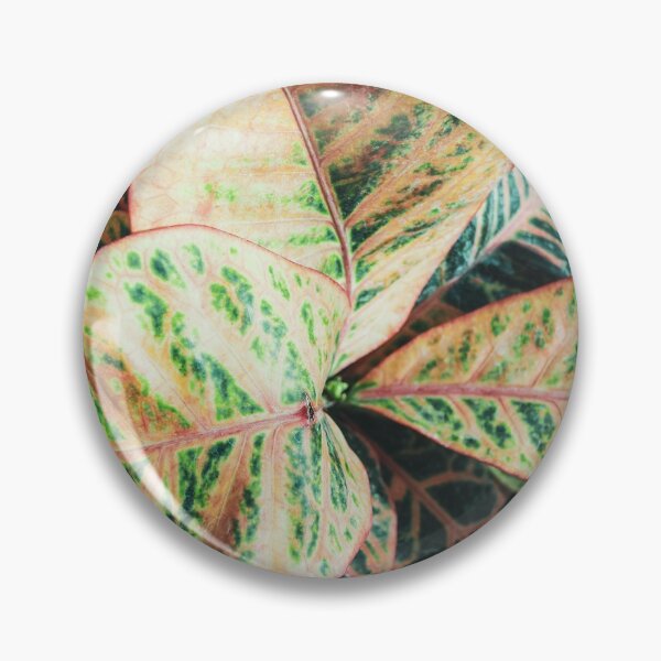 Item preview, Plants designed and sold by simoneridi.